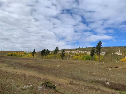 11246 Custer Limestone Rd, Custer, SD 57730 photo 34