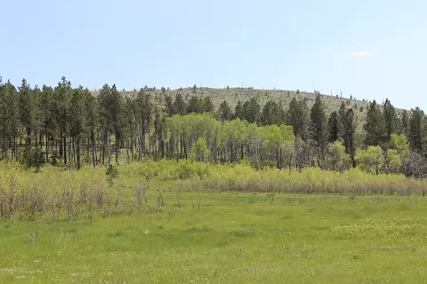 11246 Custer Limestone Rd, Custer, SD 57730 photo 31