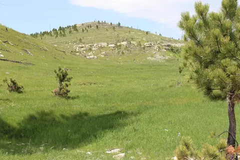 11246 Custer Limestone Rd, Custer, SD 57730 photo 29