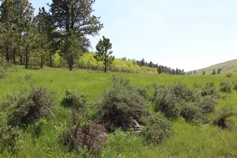 11246 Custer Limestone Rd, Custer, SD 57730 photo 25