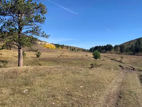 11246 Custer Limestone Rd, Custer, SD 57730 photo 33