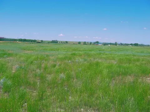 Grouse Rd., Smithwick, SD 57782 photo 4