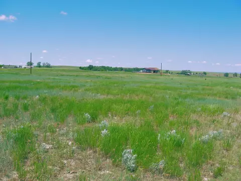 Grouse Rd., Smithwick, SD 57782 photo 8