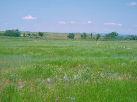 Grouse Rd., Smithwick, SD 57782