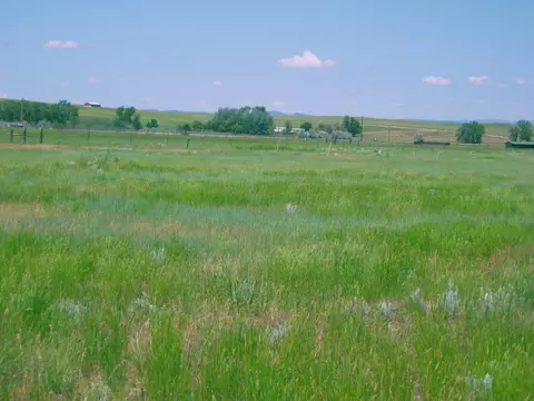 Grouse Rd., Smithwick, SD 57782 photo 2