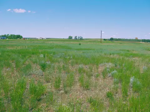 Grouse Rd., Smithwick, SD 57782 photo 9