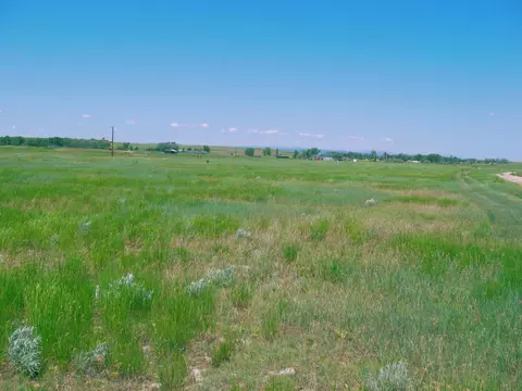 Grouse Rd., Smithwick, SD 57782 photo 7