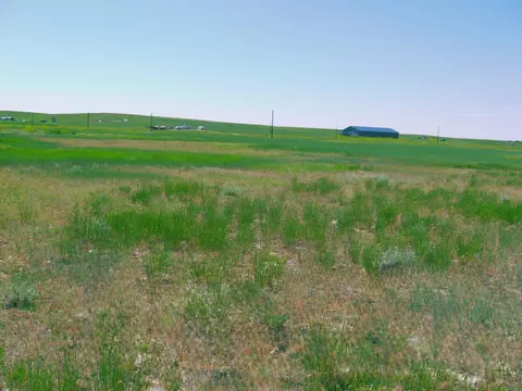 Grouse Rd., Smithwick, SD 57782 photo 10