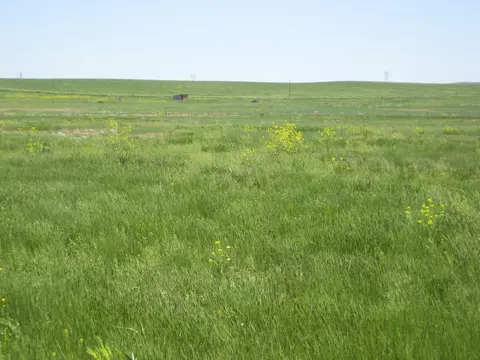 lot58 Gobbler Ln, Smithwick, SD 57782 photo 9