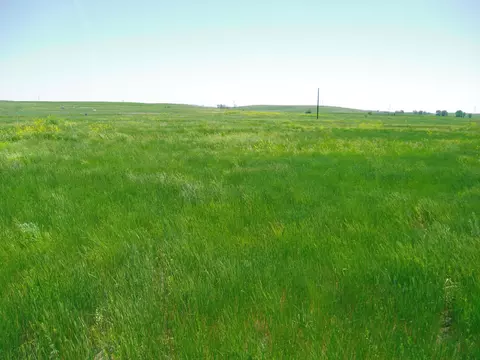 lot58 Gobbler Ln, Smithwick, SD 57782 photo 7