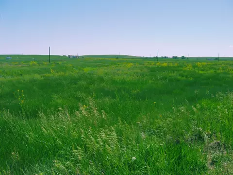 lot58 Gobbler Ln, Smithwick, SD 57782 photo 5