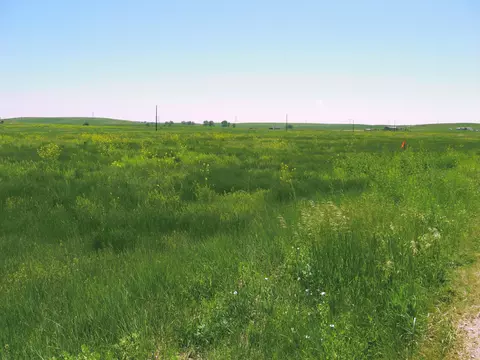 lot58 Gobbler Ln, Smithwick, SD 57782 photo 6