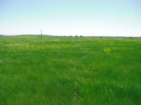 lot58 Gobbler Ln, Smithwick, SD 57782 photo 8