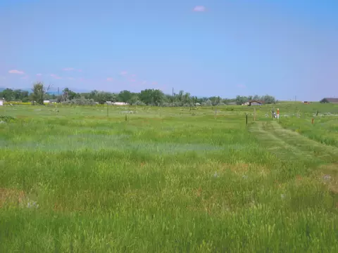 Grouse Rd., Smithwick, SD 57782 photo 6