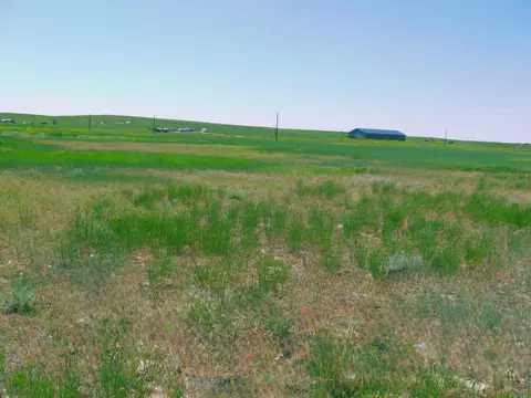 Grouse Rd., Smithwick, SD 57782 photo 12