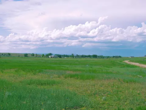 Grouse Rd., Smithwick, SD 57782