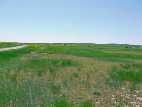 Grouse Rd., Smithwick, SD 57782 photo 11