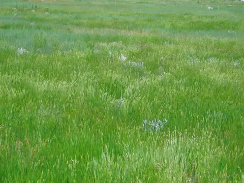 Grouse Rd., Smithwick, SD 57782 photo 7