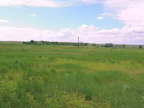 Grouse Rd., Smithwick, SD 57782 photo 2