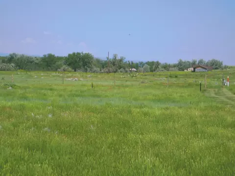 Grouse Rd., Smithwick, SD 57782 photo 8