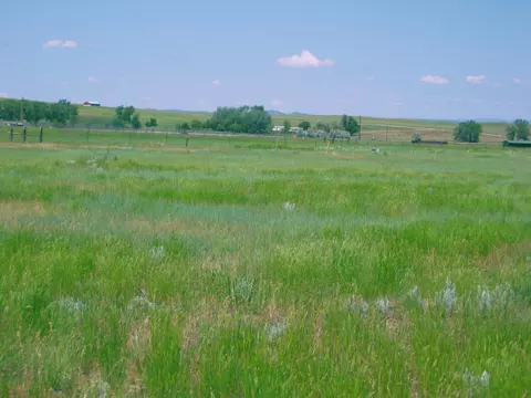 Grouse Rd., Smithwick, SD 57782 photo 4