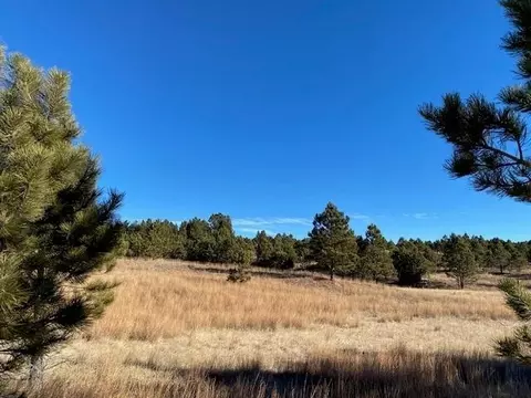Tract 1 South Park Drive, Custer, SD 57730 photo 6