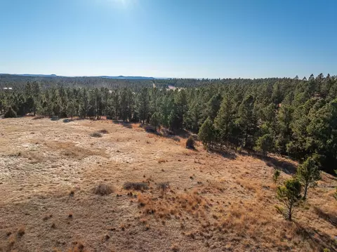 Tract 1 South Park Drive, Custer, SD 57730 photo 22