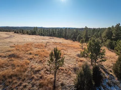 Tract 1 South Park Drive, Custer, SD 57730 photo 21