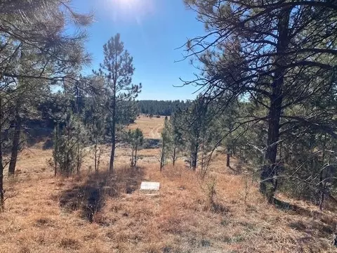 Tract 1 South Park Drive, Custer, SD 57730 photo 9