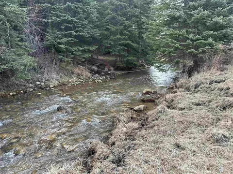 11755 Rochford Rd, Hill City, SD 57745