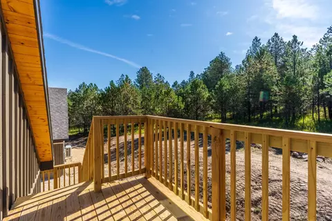 26128 Cold Spring Trl, Custer, SD 57730 photo 44