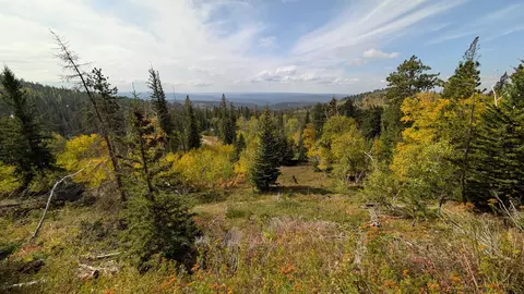 Ms 2066 Moose Trail, Lead, SD 57754