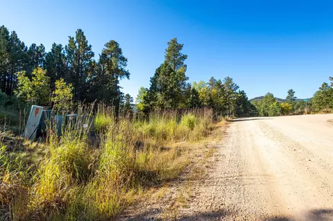 lot17 Dynasty Rd, Lead, SD 57754 photo 10