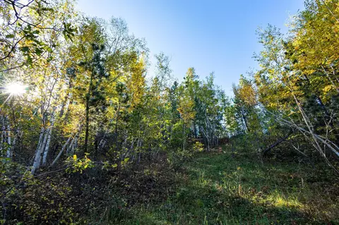 lot17 Dynasty Rd, Lead, SD 57754 photo 5