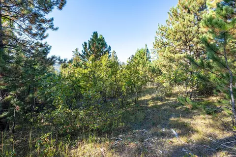 lot17 Dynasty Rd, Lead, SD 57754