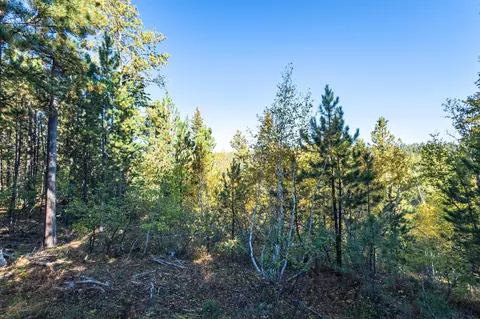 lot17 Dynasty Rd, Lead, SD 57754 photo 7