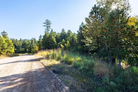 lot17 Dynasty Rd, Lead, SD 57754 photo 4