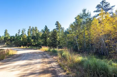 lot17 Dynasty Rd, Lead, SD 57754 photo 12