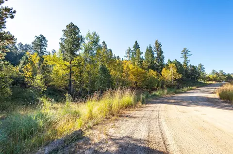 lot17 Dynasty Rd, Lead, SD 57754 photo 2