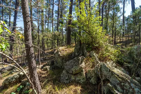 24409 Milo Ln, Keystone, SD 57751 photo 9