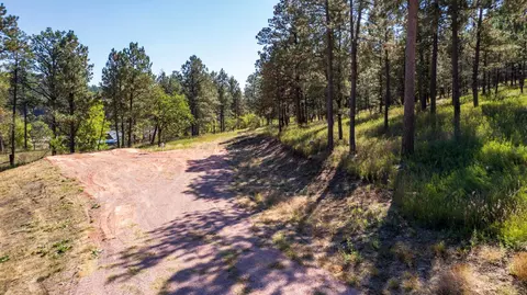 24409 Milo Ln, Keystone, SD 57751 photo 15