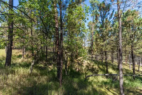 24409 Milo Ln, Keystone, SD 57751 photo 12