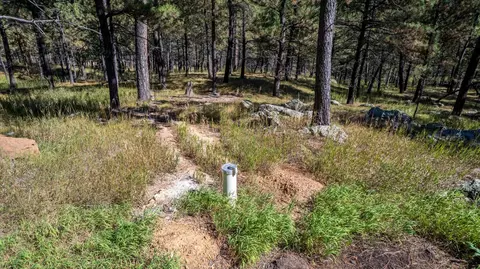 24409 Milo Ln, Keystone, SD 57751 photo 3