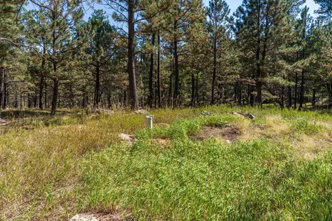 24409 Milo Ln, Keystone, SD 57751 photo 4