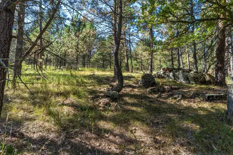 24409 Milo Ln, Keystone, SD 57751 photo 6