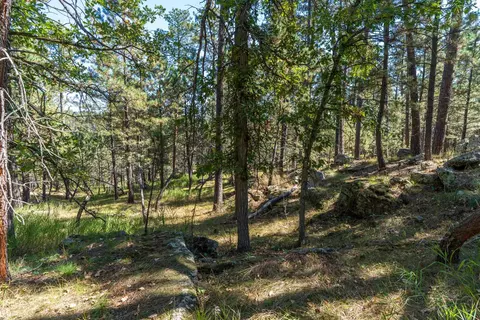 24409 Milo Ln, Keystone, SD 57751 photo 7