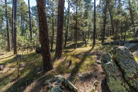 24409 Milo Ln, Keystone, SD 57751 photo 8
