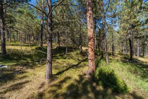 24409 Milo Ln, Keystone, SD 57751 photo 11