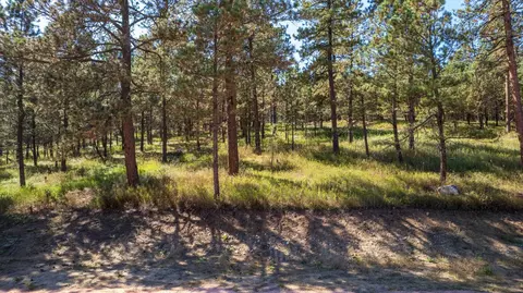 24409 Milo Ln, Keystone, SD 57751 photo 14