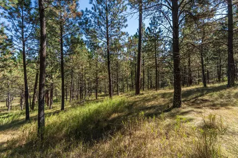 24409 Milo Ln, Keystone, SD 57751 photo 13
